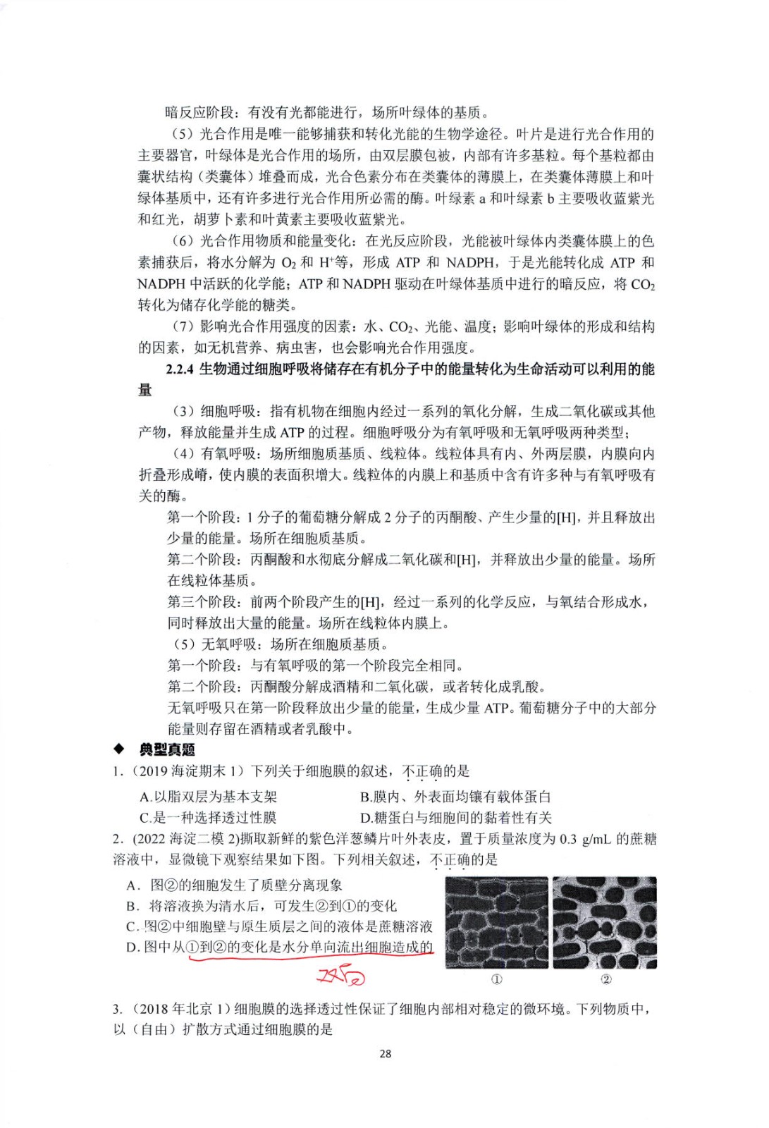 1766925070199417.jpg